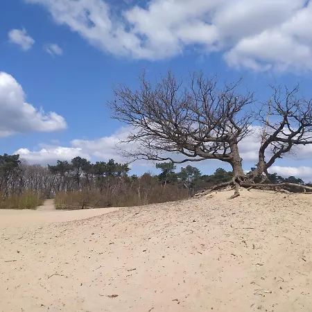 Διαμέρισμα Family