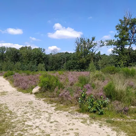 Family * Kaatsheuvel