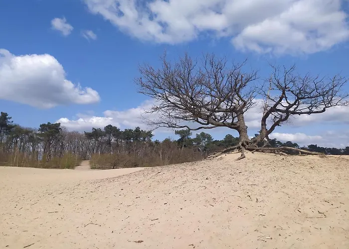 Διαμέρισμα Family