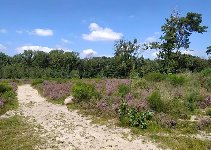 Family * Каатсхойвел